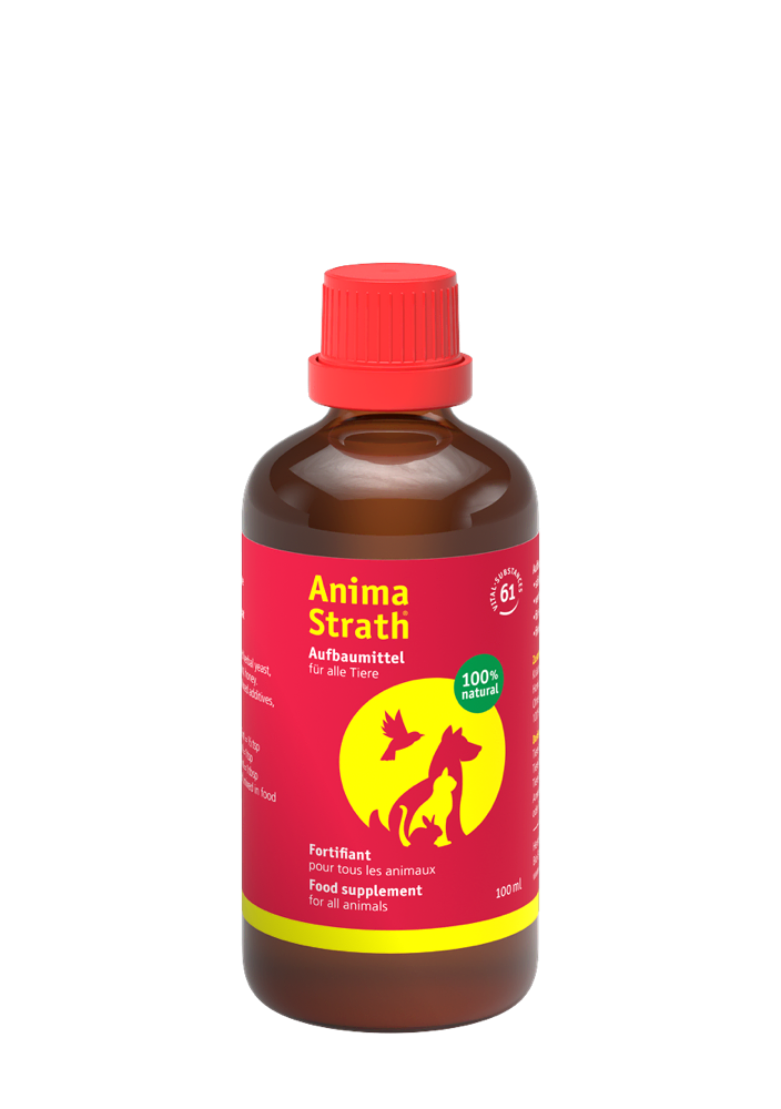 Anima-Strath Liquid Bottle 100ml