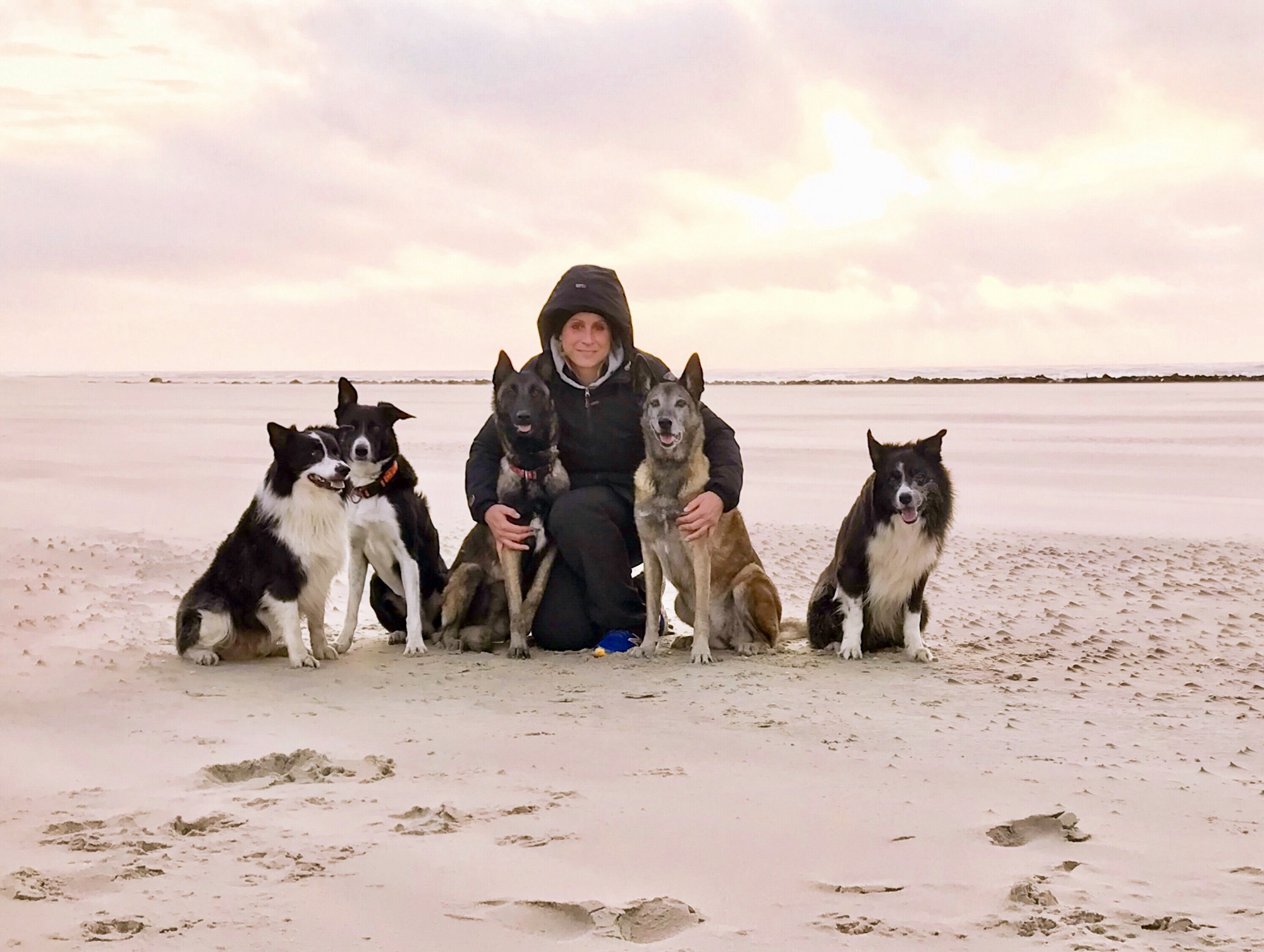 Sarah-Jane mit Hunden am Meer
